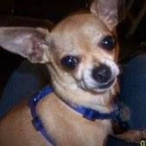 Meet your Posher, Mary